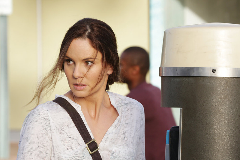 Sarah Wayne Callies